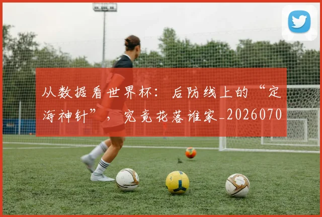 从数据看世界杯：后防线上的“定海神针”，究竟花落谁家_20260703214628