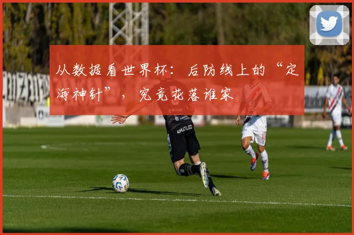 从数据看世界杯:后防线上的“定海神针”,究竟花落谁家